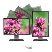 Dell Ultrasharp monitor - Pivot