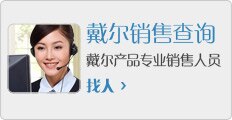 戴尔销售查询