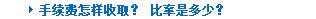 支付指南