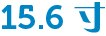 15.6 寸 15.6 寸
