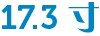 17.3 寸