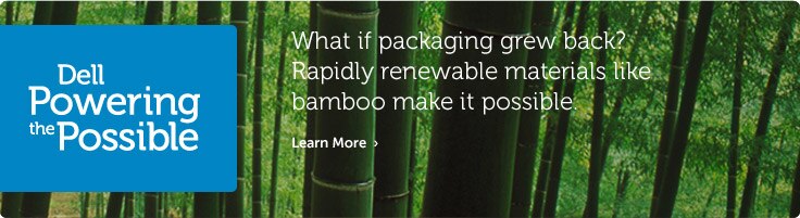 Bamboo Packaging