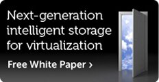 Next generation intelligent storage for virtualization