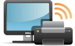 Monitors, Printers and Networking