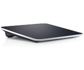 Dell Windows8 touch pad