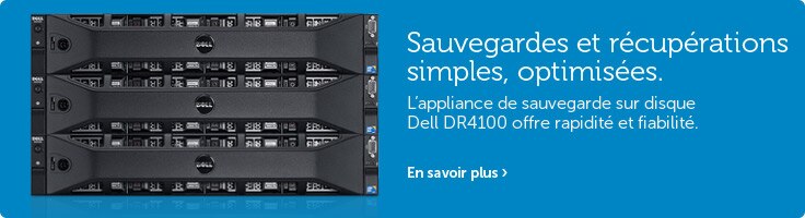 Powervault DR4100