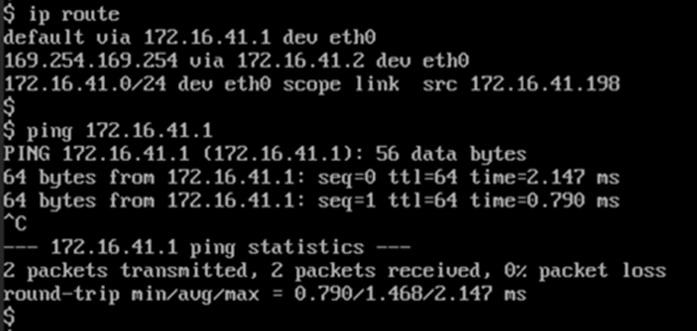 Compute instance successfully pings the anycast gateway