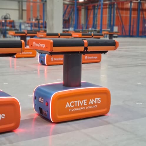 Active Ants Robots