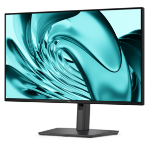 Dell Pro P 24 Monitor - P2426H​