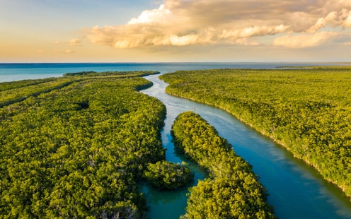 An aerial view of wetlands in the late afternoon or early evening in Everglades National Park in southern Florida.
