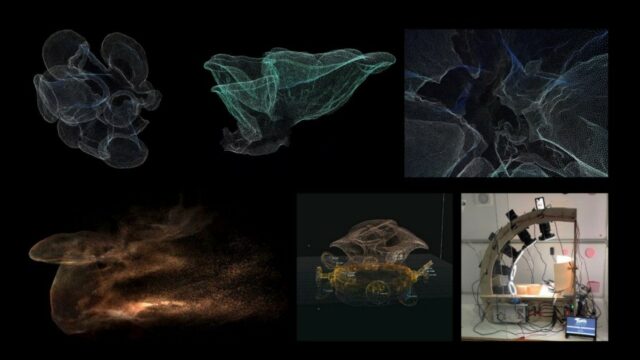 Images taken through Forager's timelapse photogrammetry capture rig. The images show the lifecycle of mushrooms as photorealistic 3D animations.