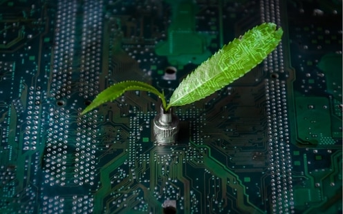 Digital image of a seedling sprouting from a motherboard. Leaves of the seedling have digital circuits.
