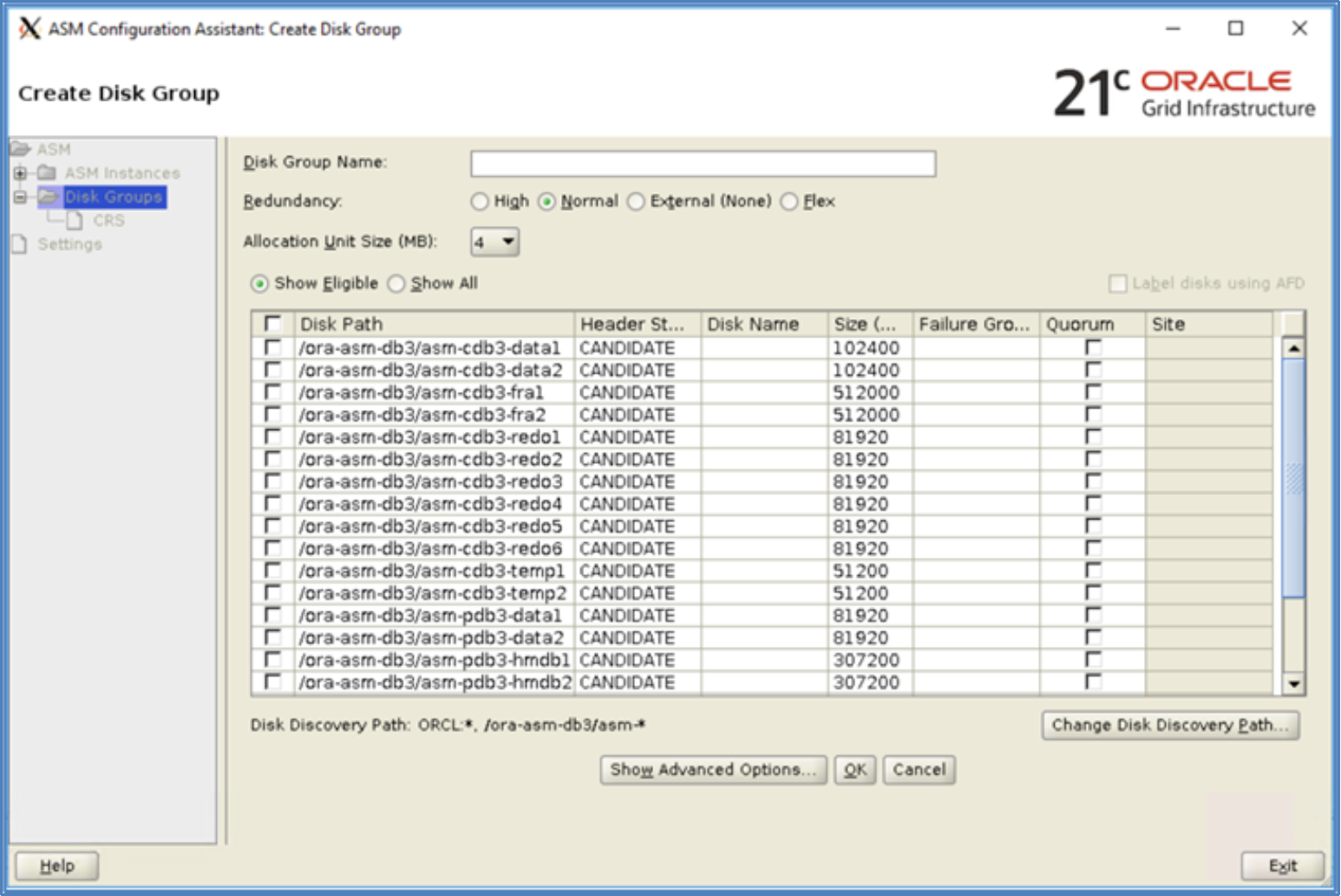 This diagram shows Oracle OUI displaying all the ASM disk devices created on the Unity File Share after adding the Unity File Share to the ASM Disk Discovery string.