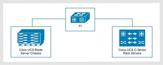 A diagram showing a mixed server configuration for Cisco UCS B-Series blade servers and Cisco UCS C-Series rack servers