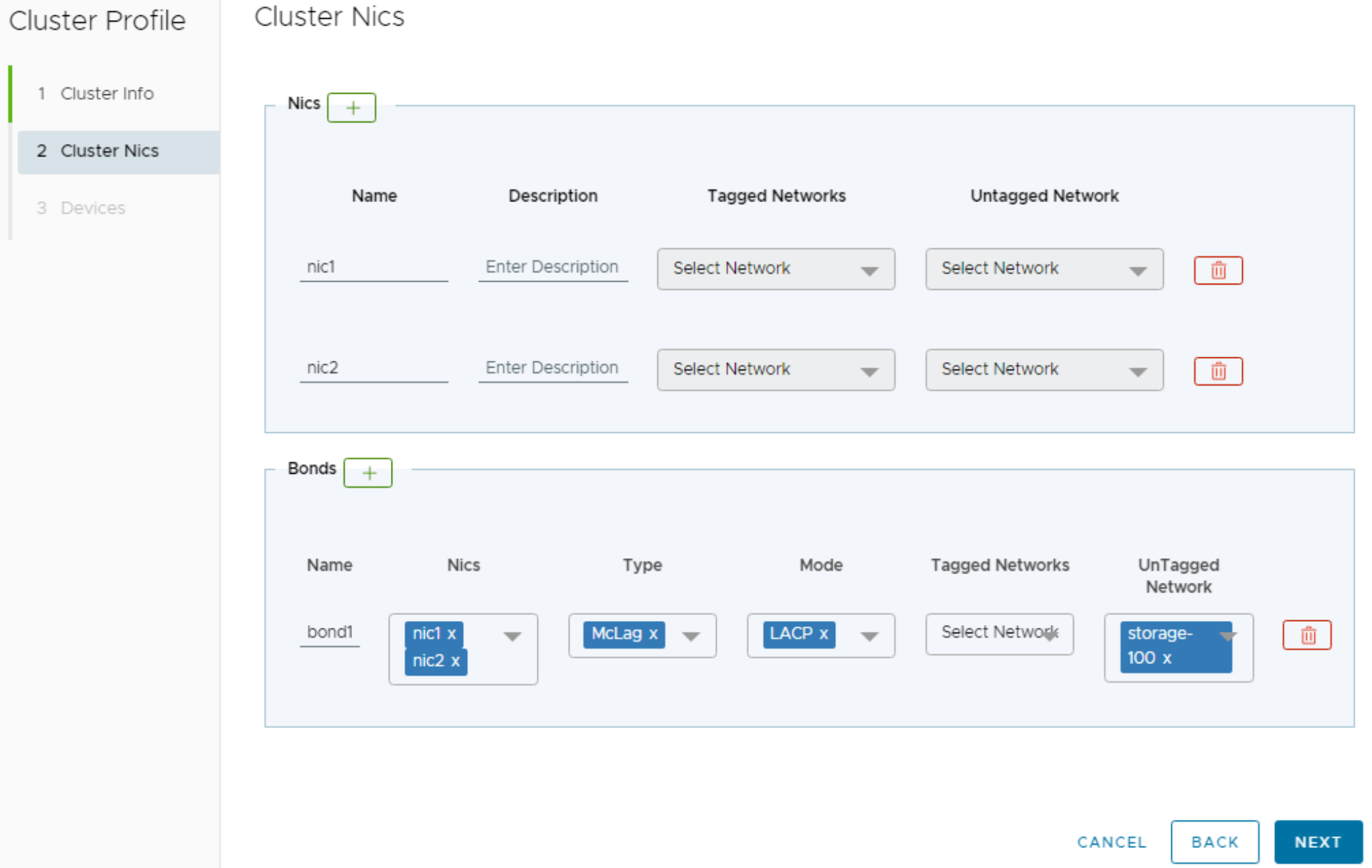 This figure shows a screenshot of the Cluster NICs page.