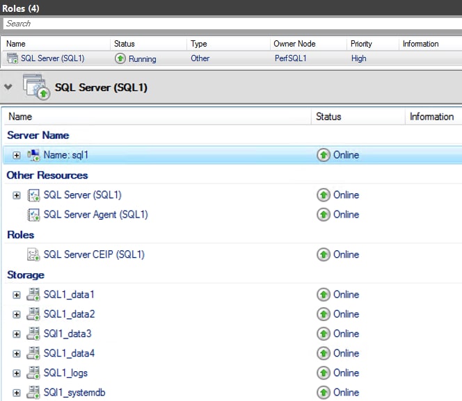 A screenshot of SQL Server 2022 configured role.