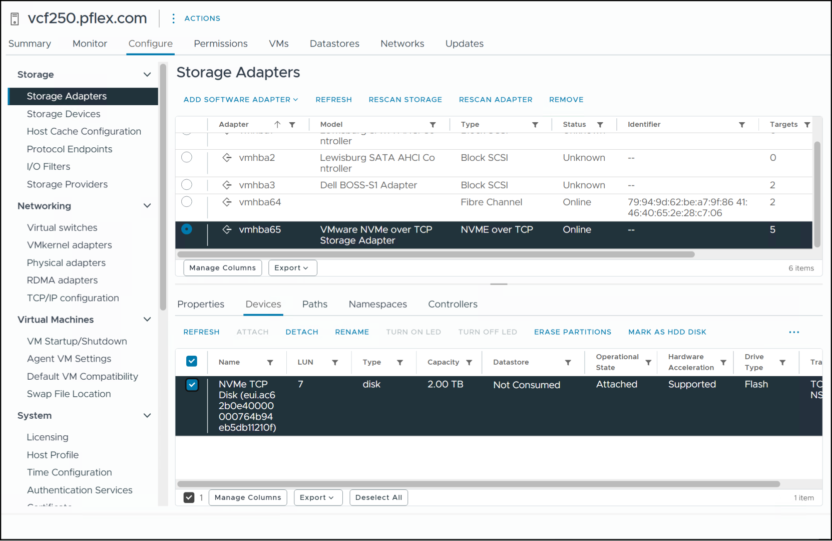 The volume displays in the vCenter