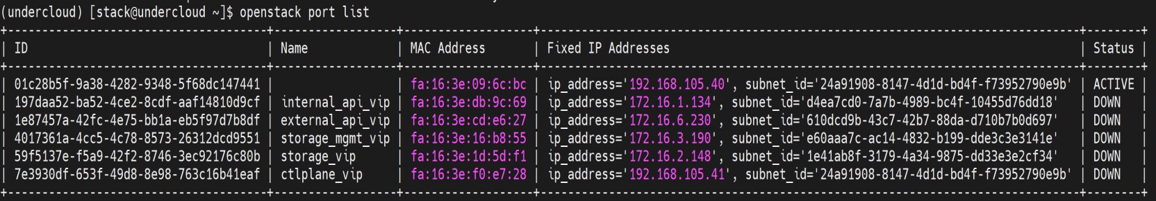 Screenshot of the command "openstack port list". This is to verify that the network vip is successful provisioned.