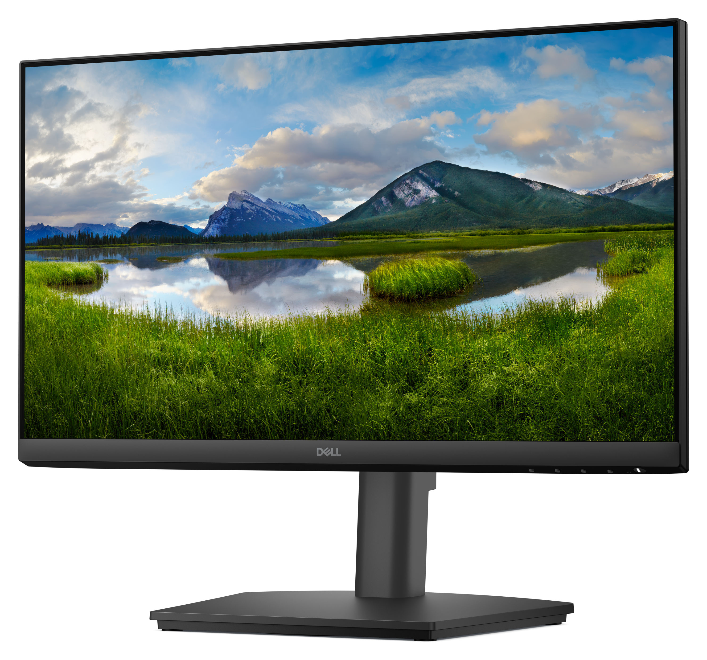 Dell Pro 22 Adjustable Stand Monitor - E2225HSM
