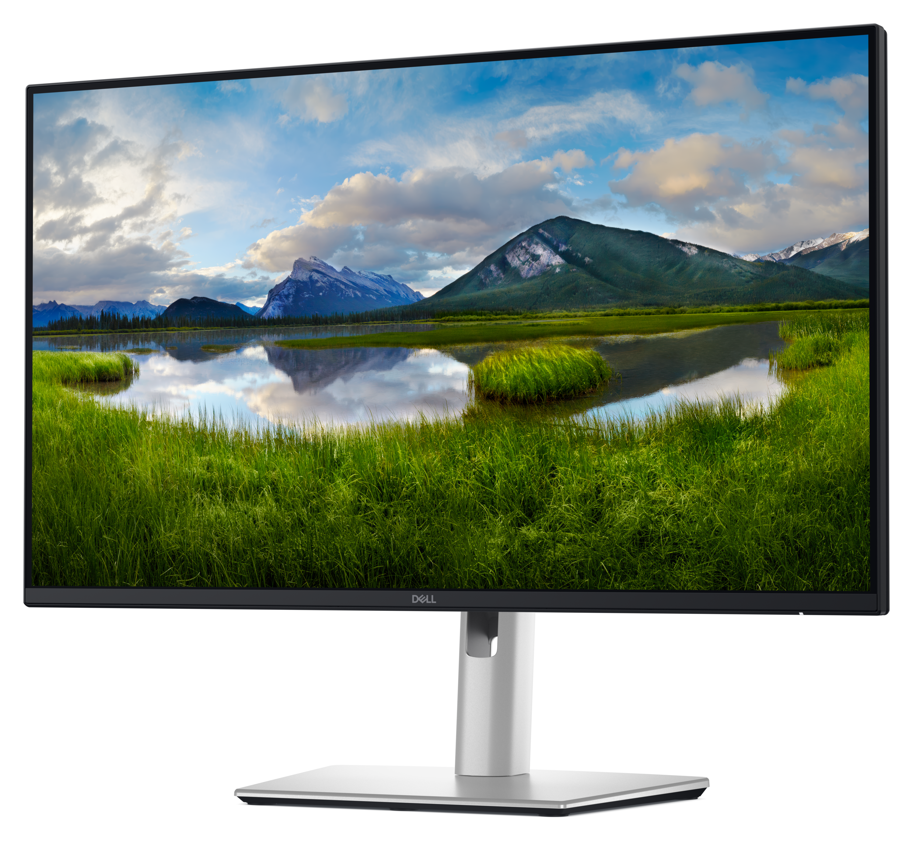 Dell Pro 24 Plus QHD USB-C Hub Monitor - P2425DE