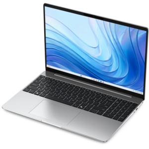 Dell 15 Laptop