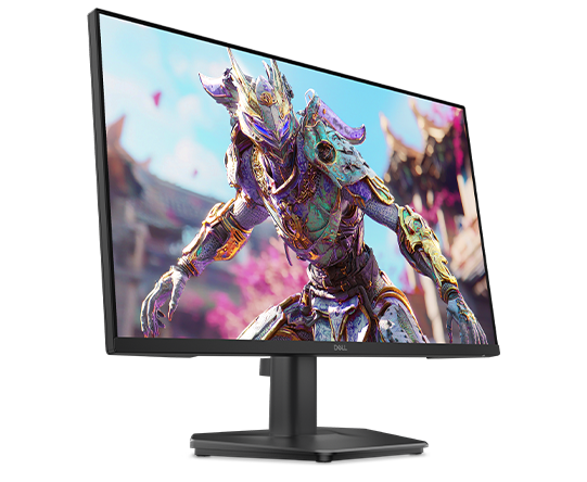 Dell 24 inch SE2426HG Monitor