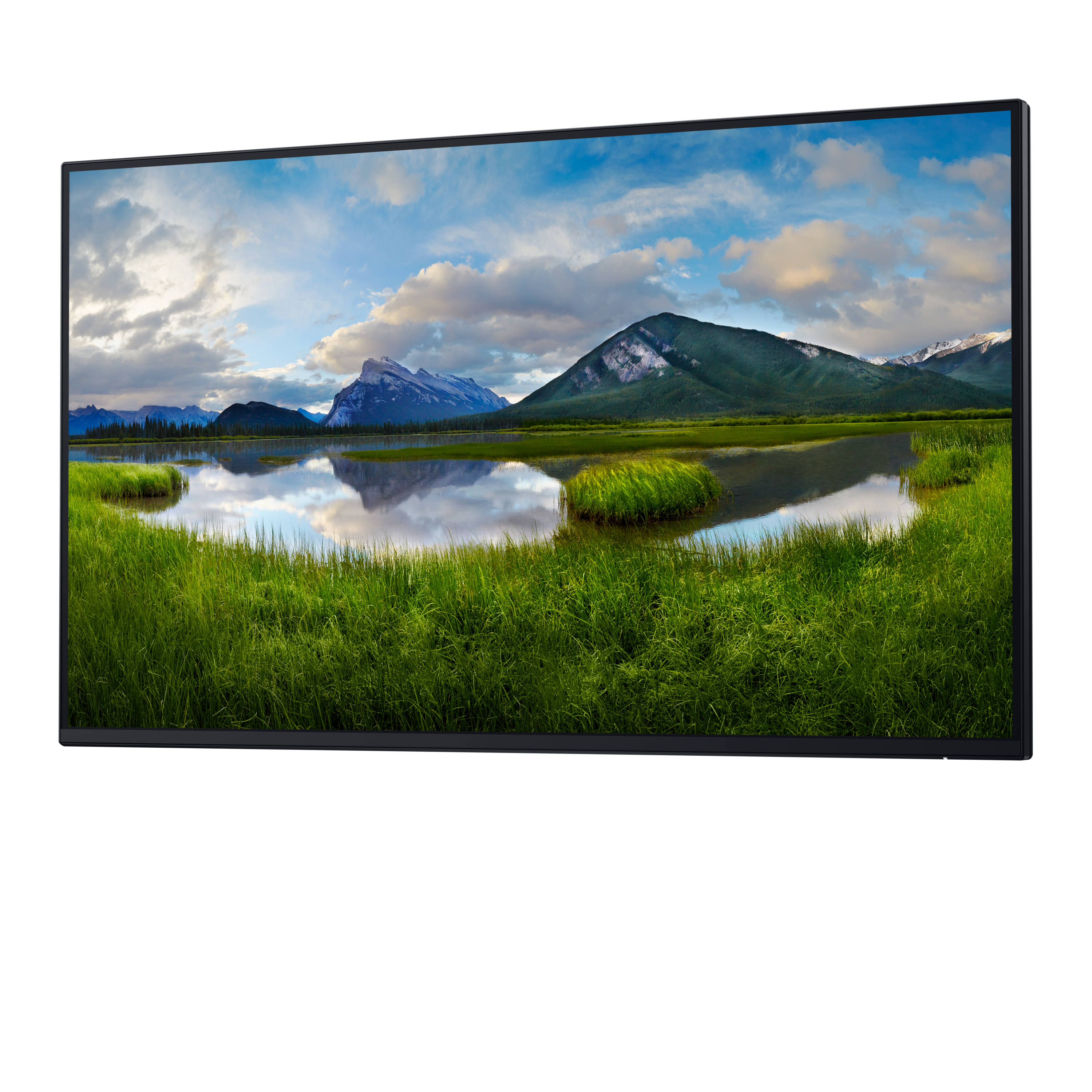 Dell Pro 27 Plus Monitor - P2725H without stand
