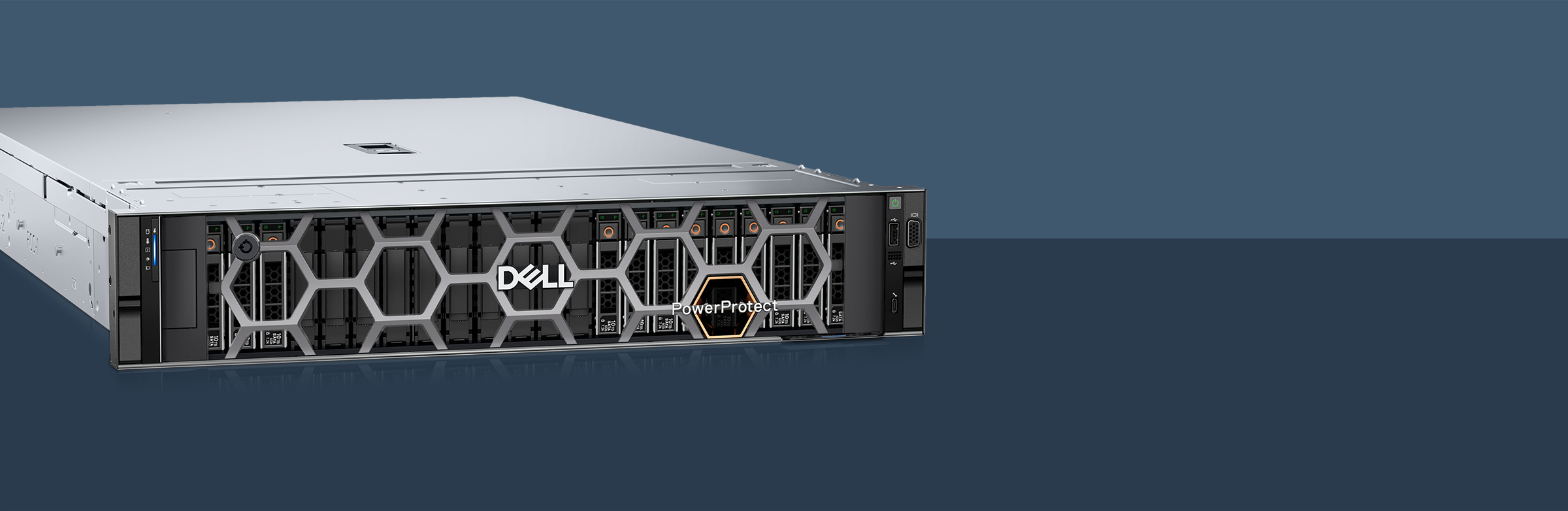 Left-facing angled view of a Dell PowerProtect DD9910F appliance on a slate blue background.