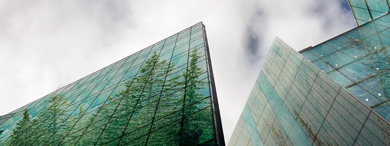 Glass buildings with tree reflections under cloudy sky.