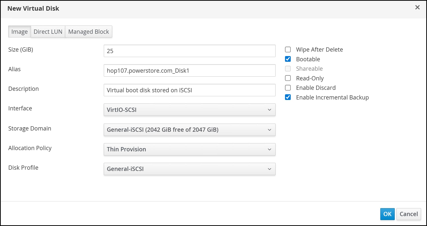 A screenshot of a New Virtual Disk dialog.