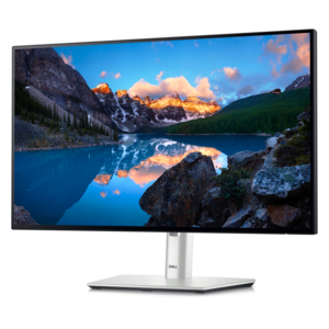 Dell UltraSharp 24 Monitor - U2424H