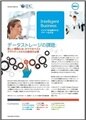 IDC Intelligent Businessニュースレター第4号 : データストレージの課題 IDC Intelligent Businessニュースレター第4号 : データストレージの課題