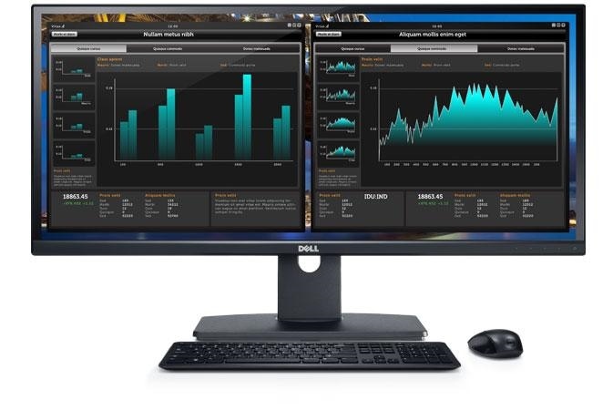 Dell UltraSharp U2913WM Monitor