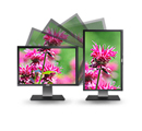 Monitores Dell UltraSharp: Excelente facilidad de uso y conectividad Monitores Dell UltraSharp: Excelente facilidad de uso y conectividad
