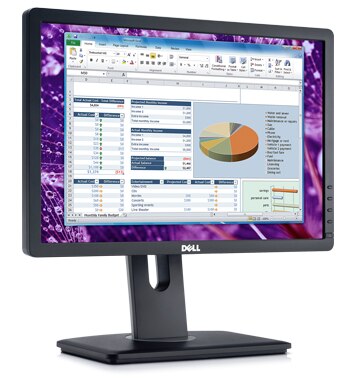 dell p1913sb monitor specs