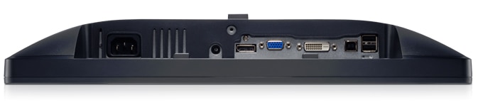 Monitor Dell P1913S: conector