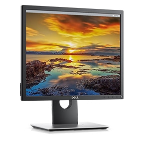 Dell Refurbished Professional 19 inch Monitor - P1917S