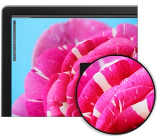 Dell 24 Ultra HD 4K Monitor – P2415Q: Claridad excepcional de la pantalla