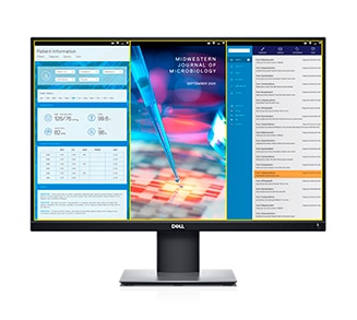 Dell 24 Monitor | P2421 - Optimize and organize with Dell Display Manager