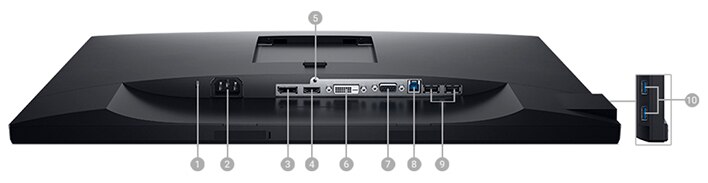 Dell 24 Monitor | P2421 - Connectivity Options