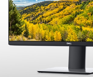 Dell 24 Inch QHD Monitor: P2421D | Green thinking for today and tomorrow