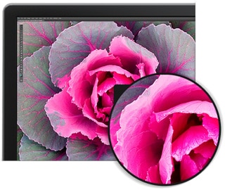Dell 27 Ultra HD 4K Monitor – P2715Q: Claridad excepcional de la pantalla