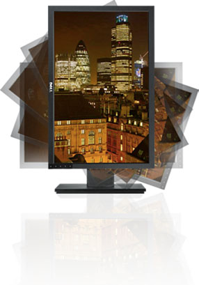 Monitor plano con pantalla ancha de 22 pulgadas Dell P2210