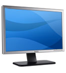Dell SE198WFP 19-inch Widescreen Flat Panel Monitor | Dell ...