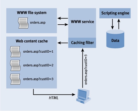 Microsoft windows dynamic cache service что это