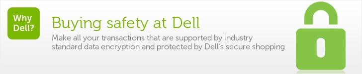 Online Security and Privacy at Dell