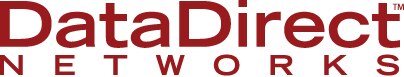 DDN logo