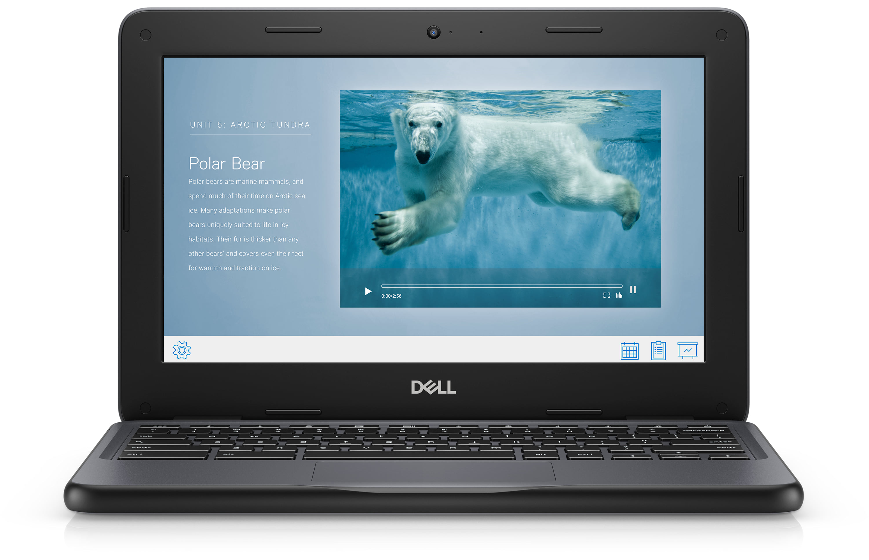Dell Chromebook 3100 for Students | Dell Canada