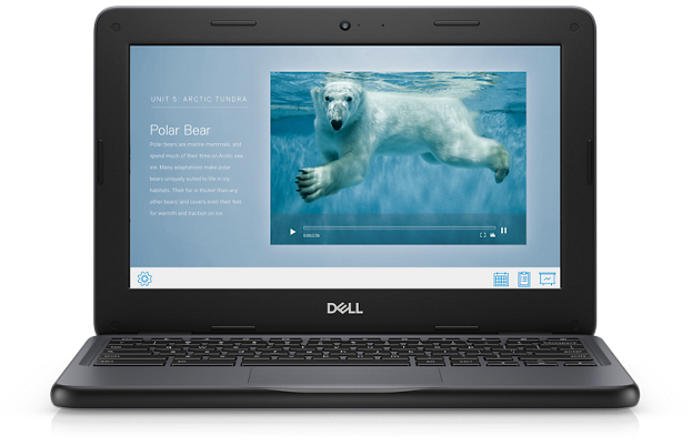 Dell Chromebook 3100