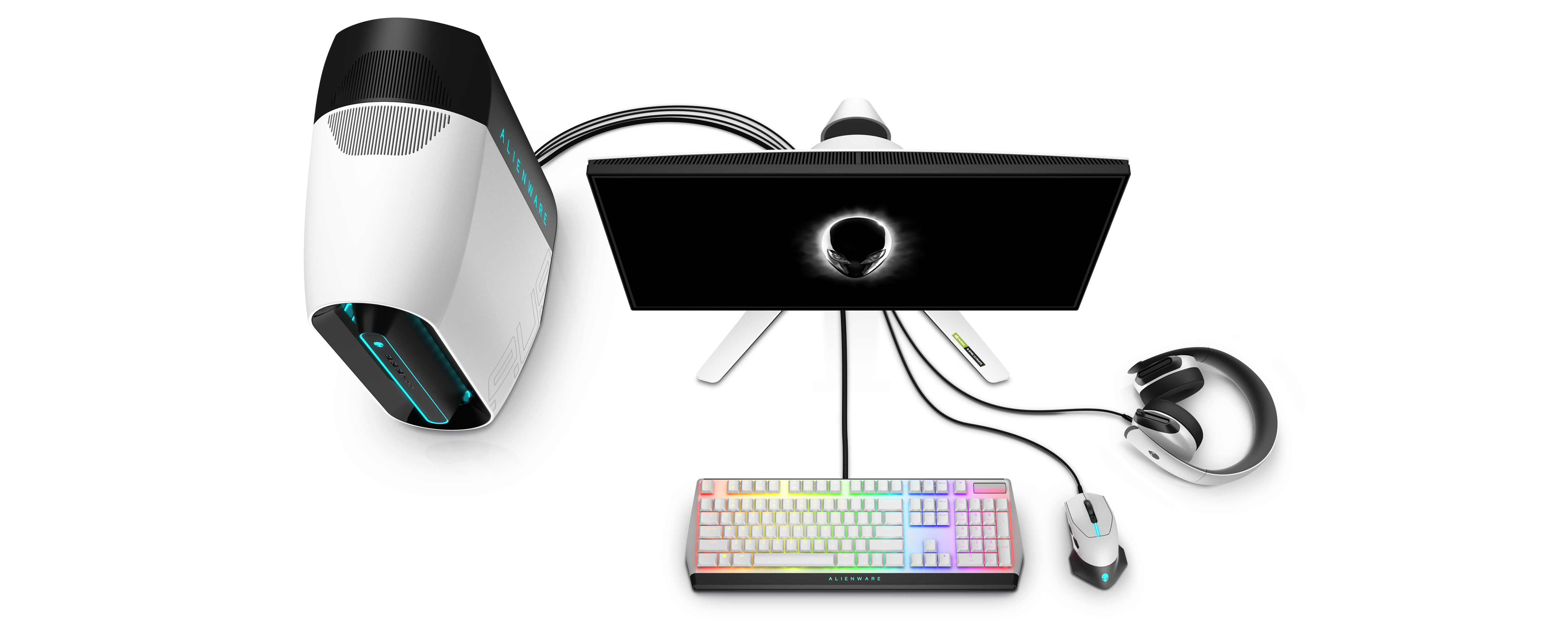 ESSENTIAL ACCESSORIES FOR YOUR ALIENWARE GAMING MONITOR